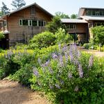 North Carolina Botanical Garden
