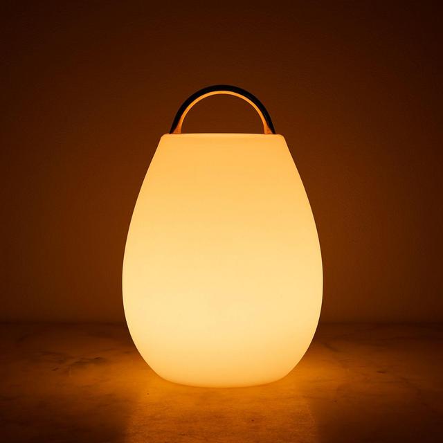 Portable LED Lantern