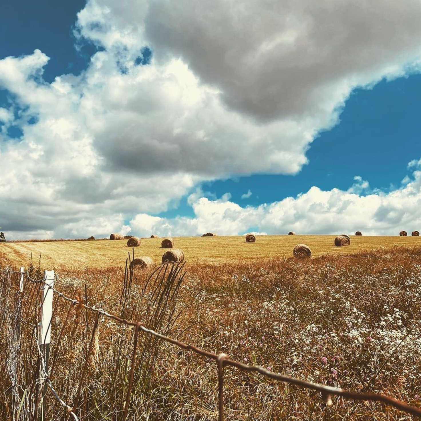 Barefoot Farm and Gardens during the peak of hay season.