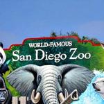 San Diego Zoo