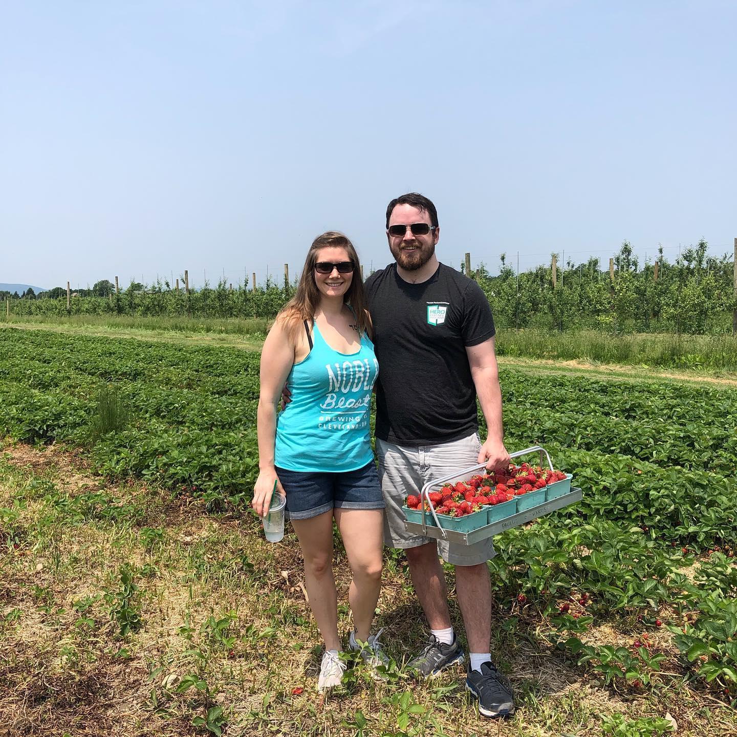 Strawberry picking, 2019