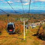 Gondola Rides