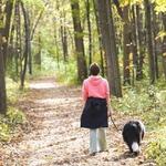 Half Day Forest Preserve