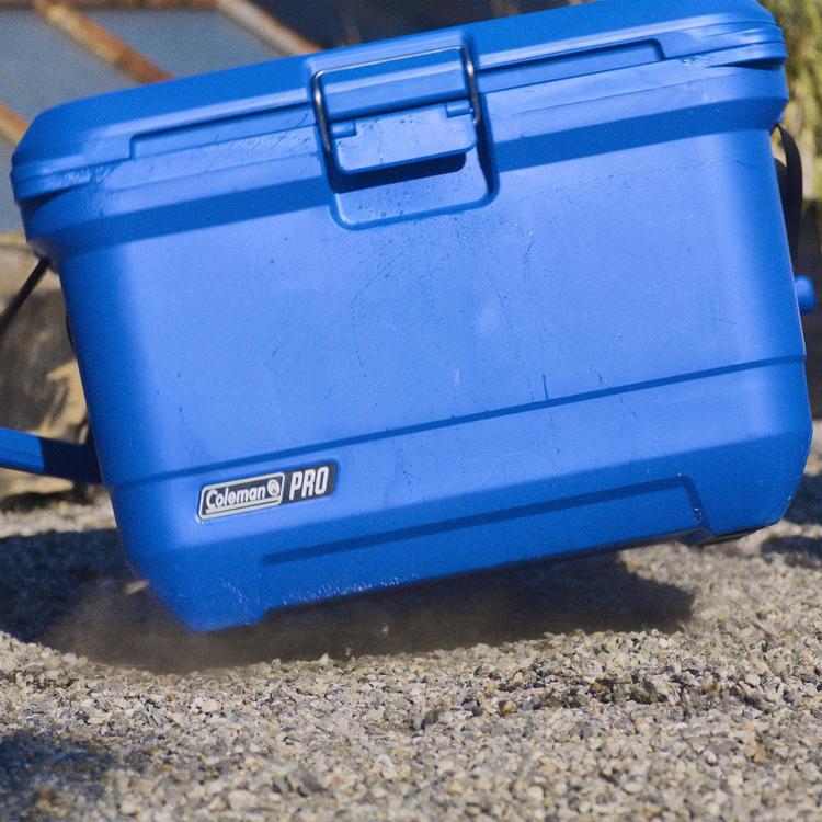 Coleman, Pro 45-Quart Hard Cooler | Zola