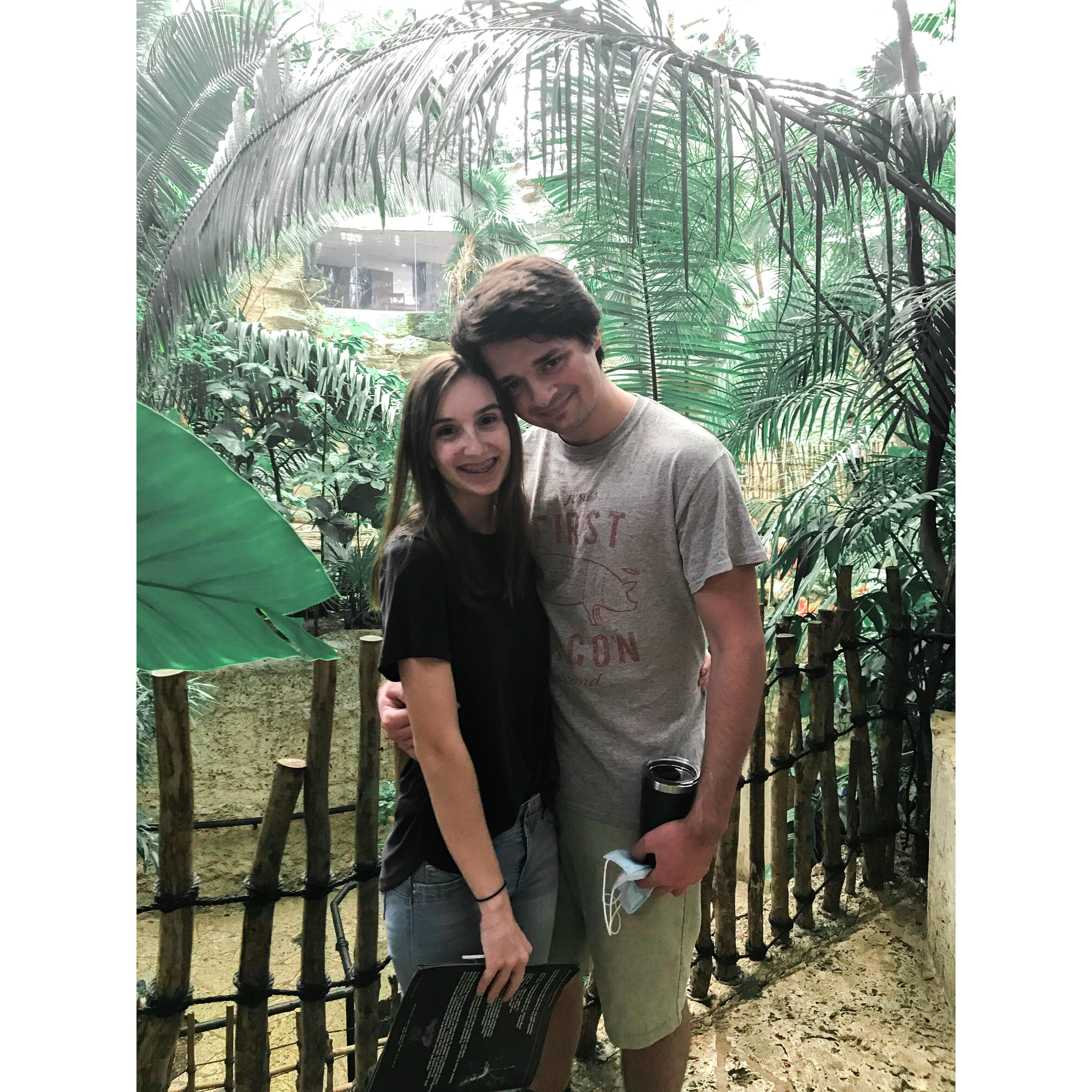 Picture at the Dallas Aquarium