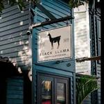 Black Llama