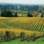 Willamette Valley