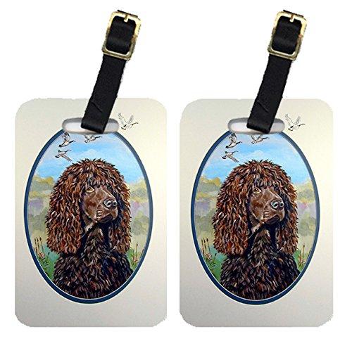 Caroline's Treasures 7089BT Pair of 2 Irish Water Spaniel Luggage Tags, Large, multicolor