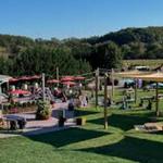 Fox Hollow Vineyards