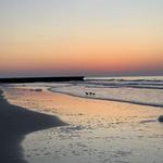Folly Beach