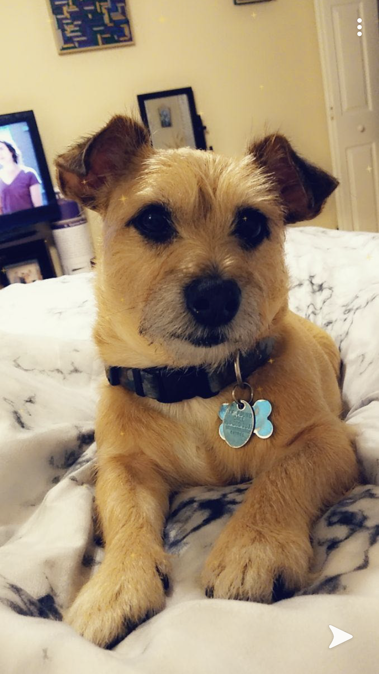 The Wedding Website of Lauren Lewkowicz and Eric Jagodinski