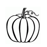Vala's Pumpkin Patch