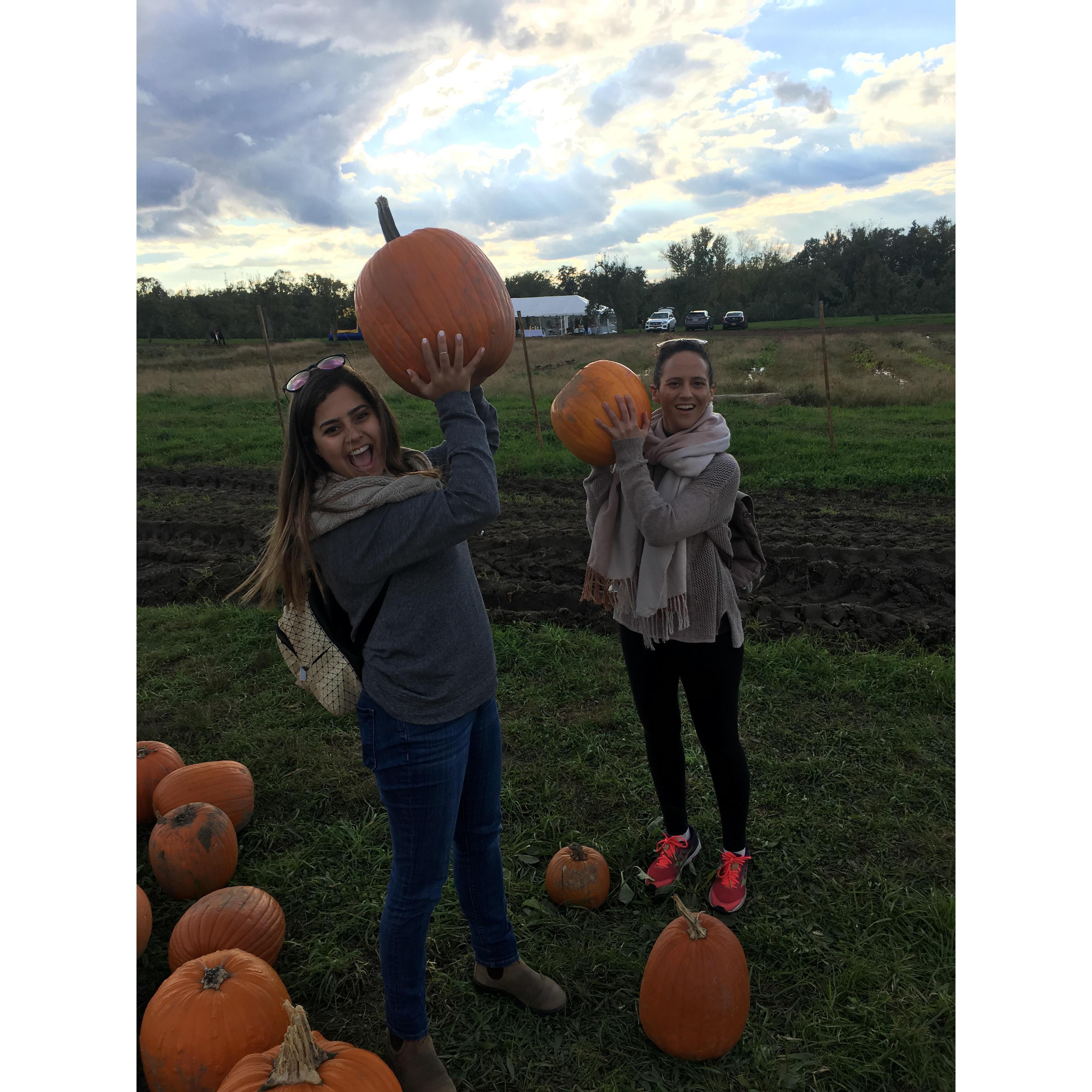 Pumpkin Patch, Fall 2018