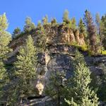 Junction Creek / Colorado Trail Trailhead