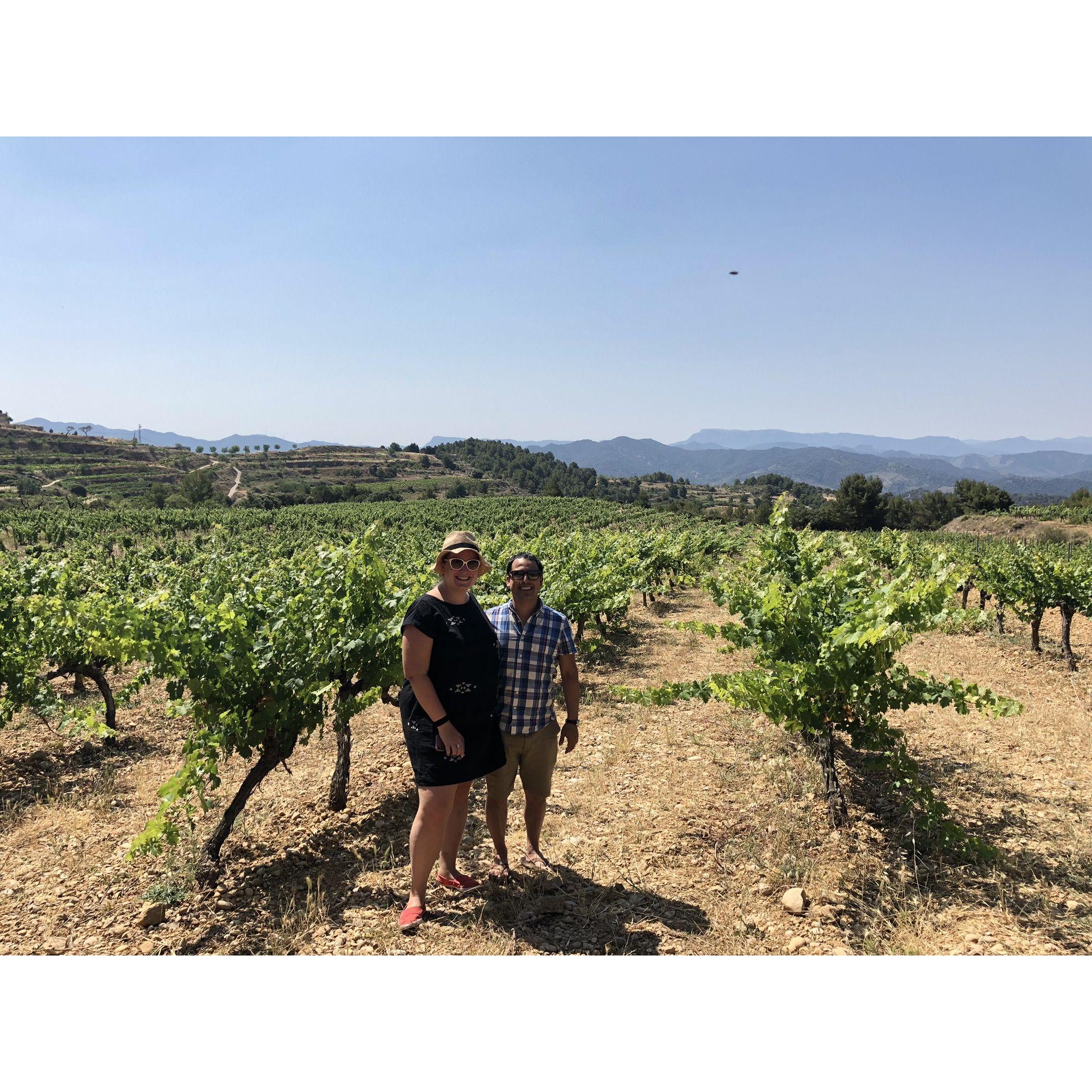 Touring vineyards in Priorat, Spain