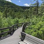 Labrador Hollow Nature Trail