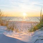 Oak Island Beach 🏖️