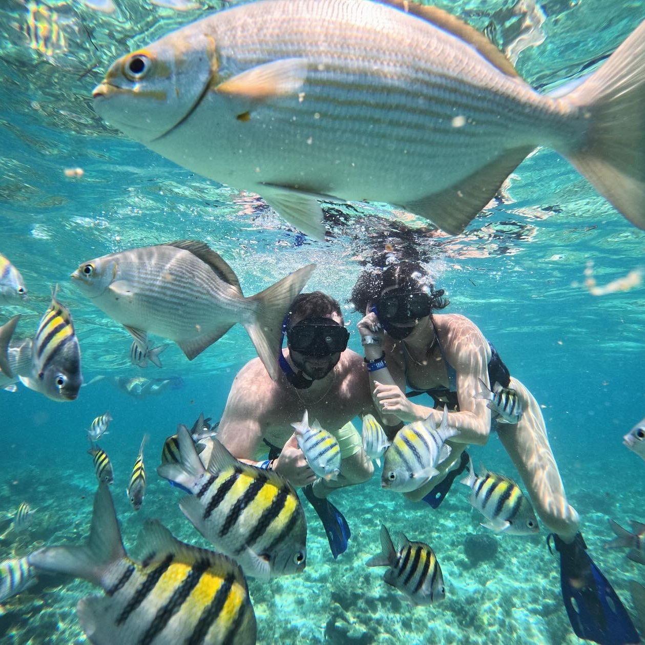 More snorkeling in Mexico :)