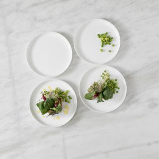 Modern Coupe Salad Plate, Set of 4