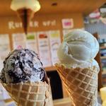 Mallard Ice Cream