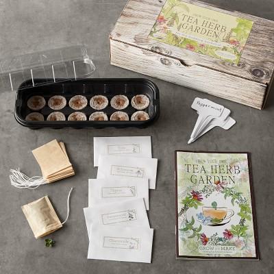 Tea Herbs Garden Kit