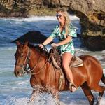 The Gold Mine Ranch Aruba