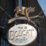 The Bobcat Cafe and Brewery