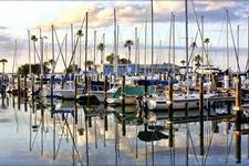 Dunedin Marina