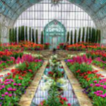 Como Park Zoo & Conservatory