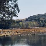 Fishing or Fly-Fishing at the Estate