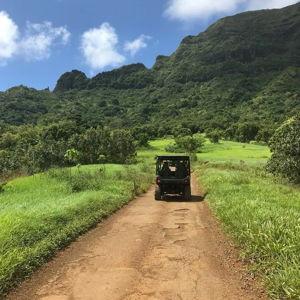Honeymoon - Kauai Offroad Excursion