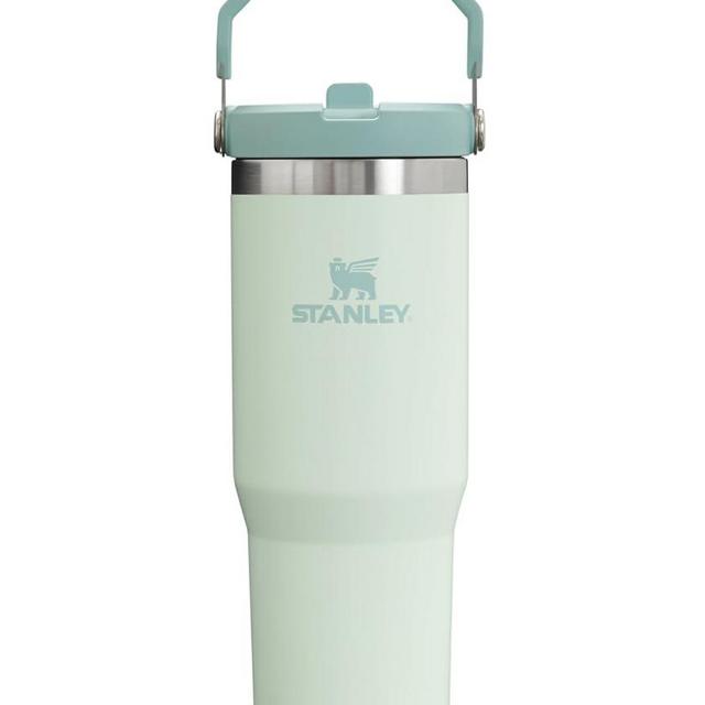 STANLEY IceFlow Stainless Steel Tumbler with Straw, Vacuum Insulated Water Bottle for Home, Office or Car, Reusable Cup with Straw Leak Resistant Flip