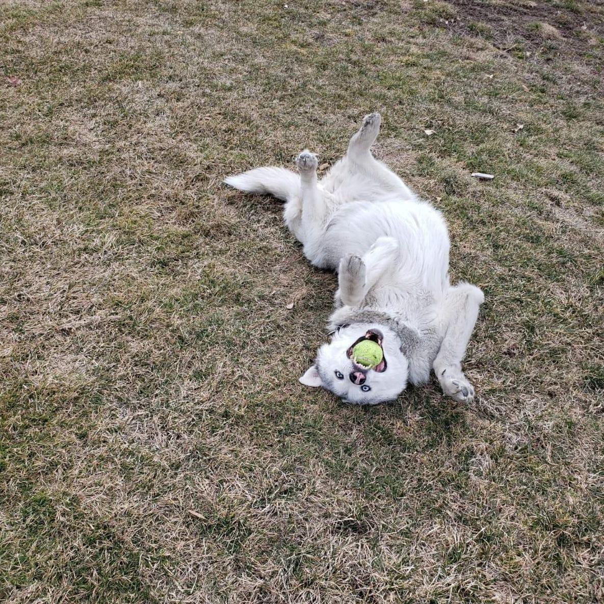 Luna being Luna