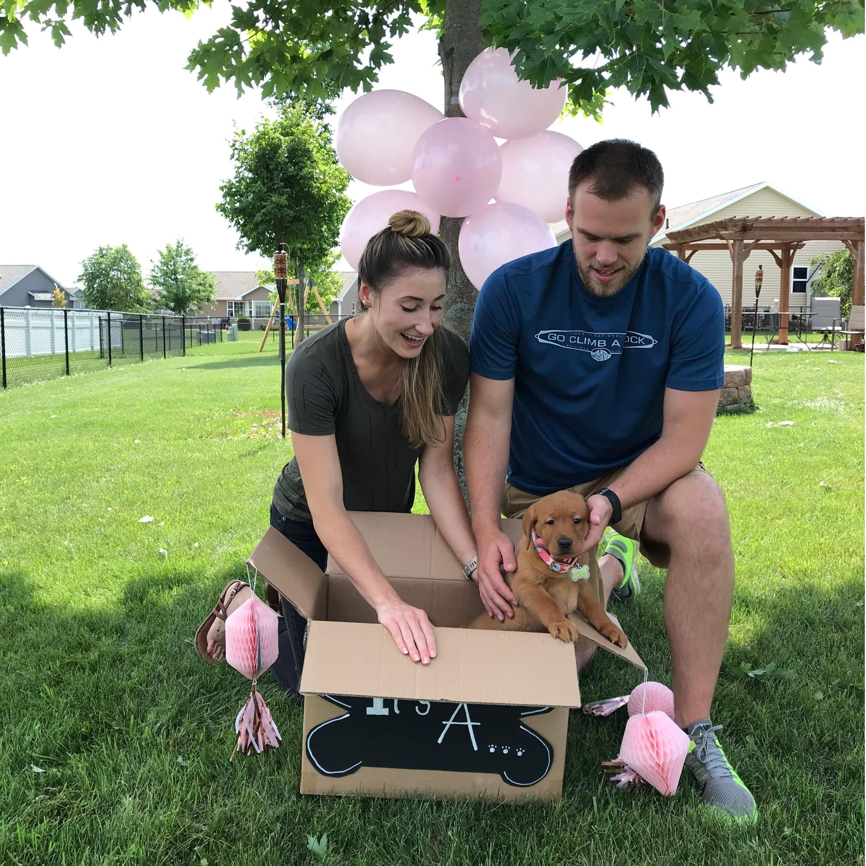 It's a... Dog!! Welcome Baby Mona! We got her summer of 2019!