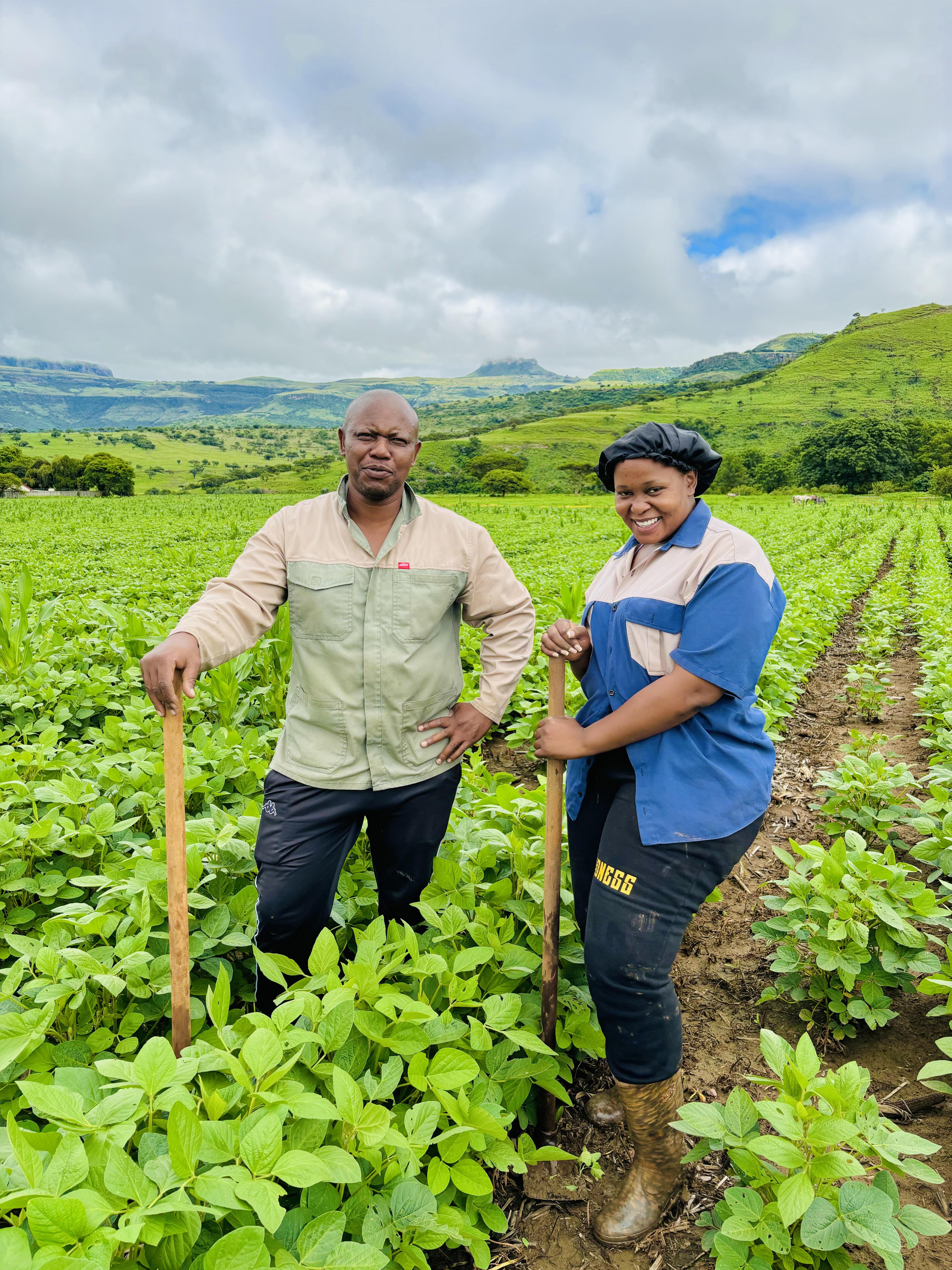 The Wedding Website of Nokuphila Mohlakoana and Chere Lakaje