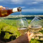 Wine tour