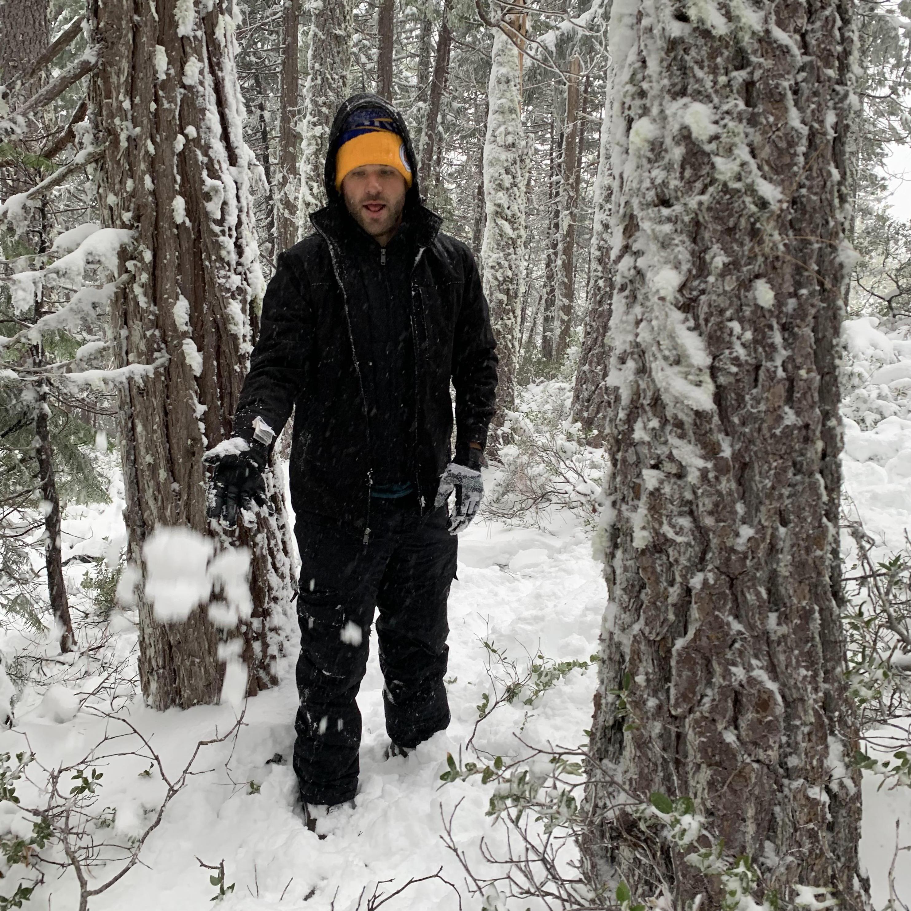 Christmas tree hunting !