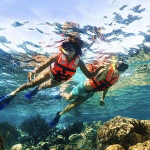 Snorkeling For Two