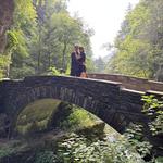 Robert H. Treman State Park