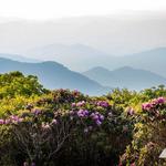 Craggy Gardens Hike