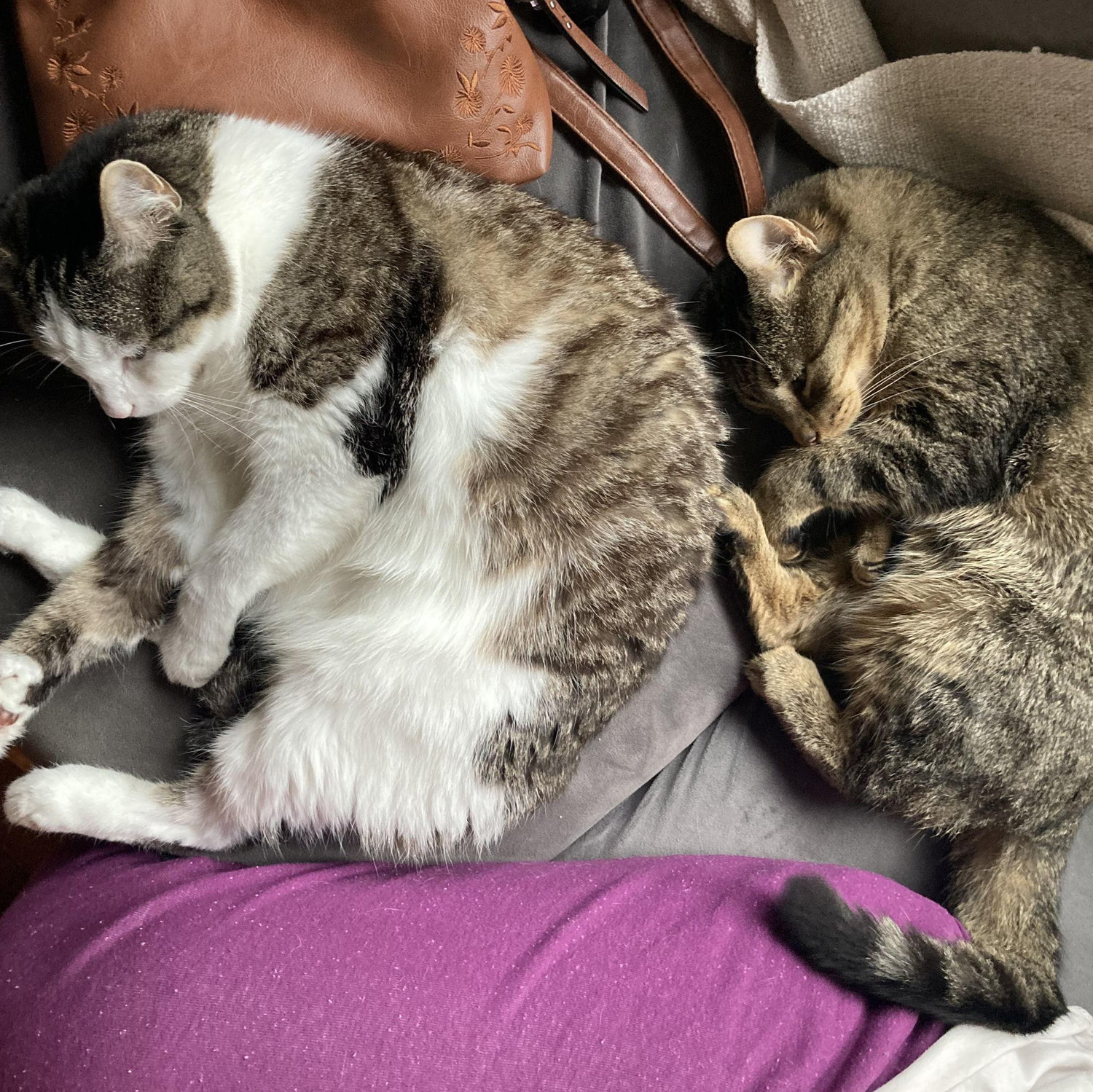 Little angels