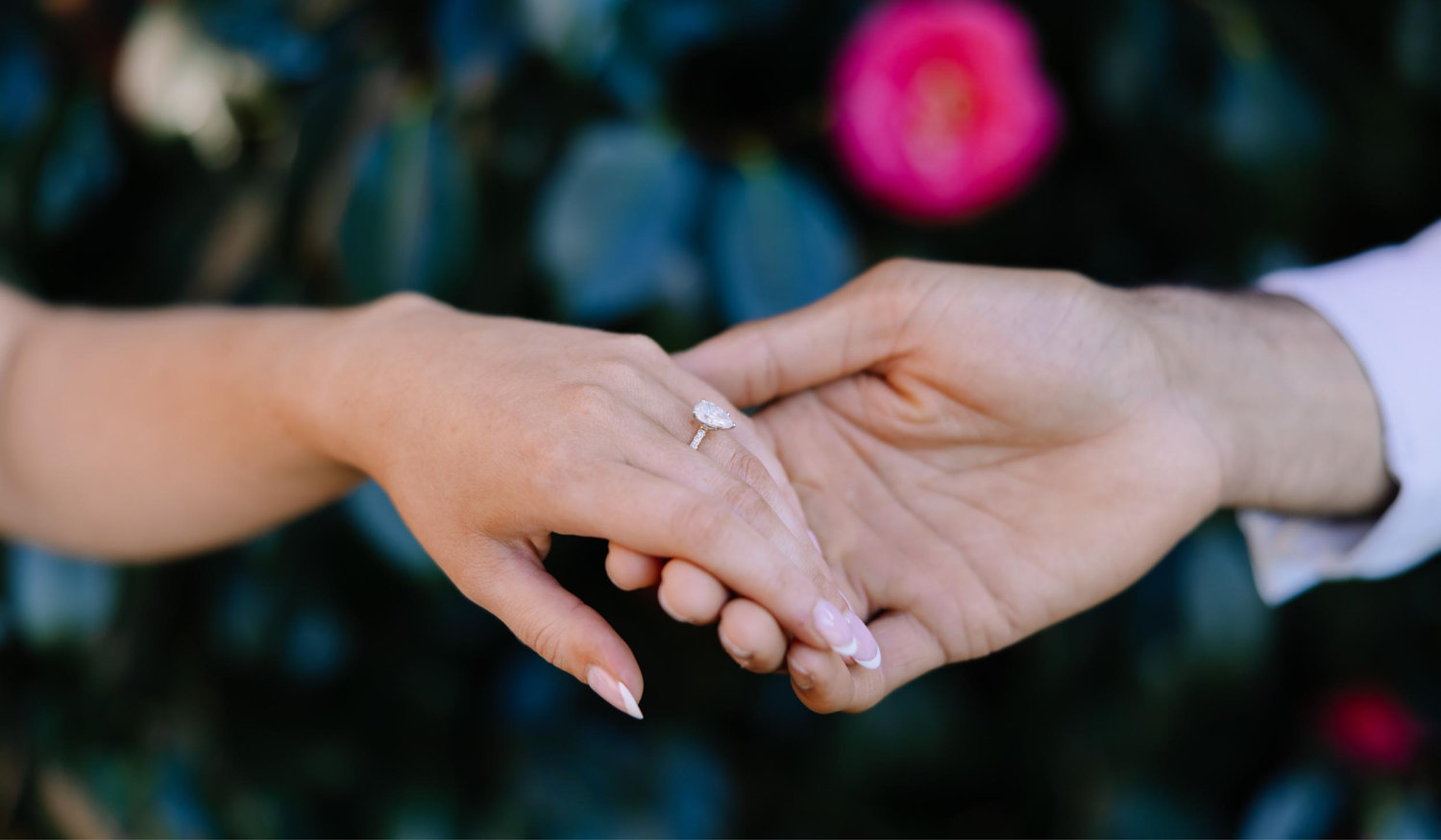 The Wedding Website of Jenny McIntyre and Dylan Kumar