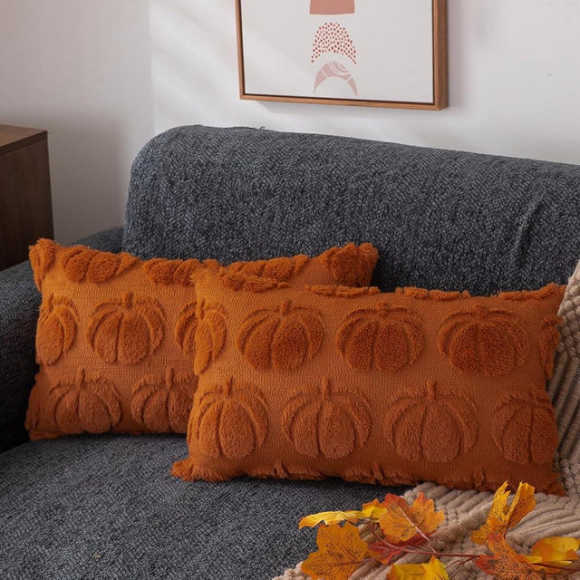 DFXSZ Fall Pillow Covers 12x20 Set of 2 Fall Decorations Autumn Rust Pumpkin Throw Pillow Cases Soft Plush Faux Fur Wool Couch Cushion Case for Chair Sofa Bedroom Living Room Home Decor PTK012A12