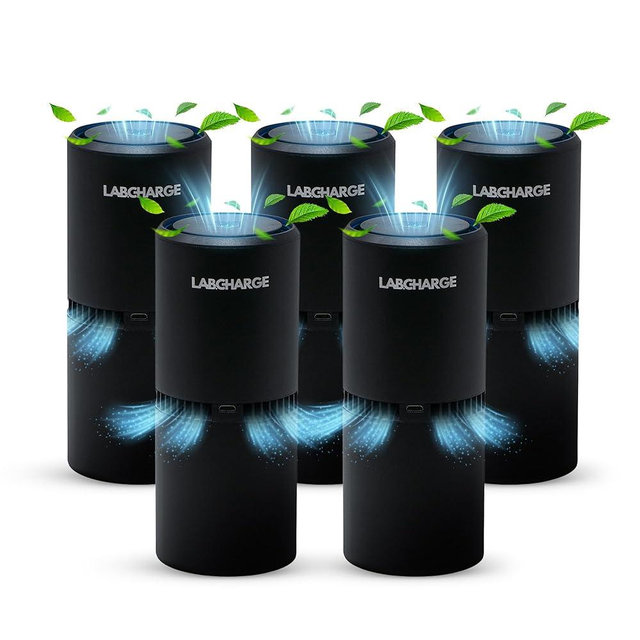 LabCharge Small Ionic Air Purifier for Home & Bedroom – Silent HEPA Filter – Covers 250 Sq Ft - Free Cleaner for Pets, Hair, Smoke, Dust, Odors & Dander – Compact & Black Design - Pack of 5