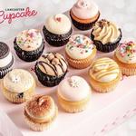 Lancaster Cupcake