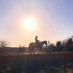 Wild West Sunset Horseback Ride with Dinner from Las Vegas