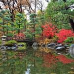 Anderson Japanese Gardens