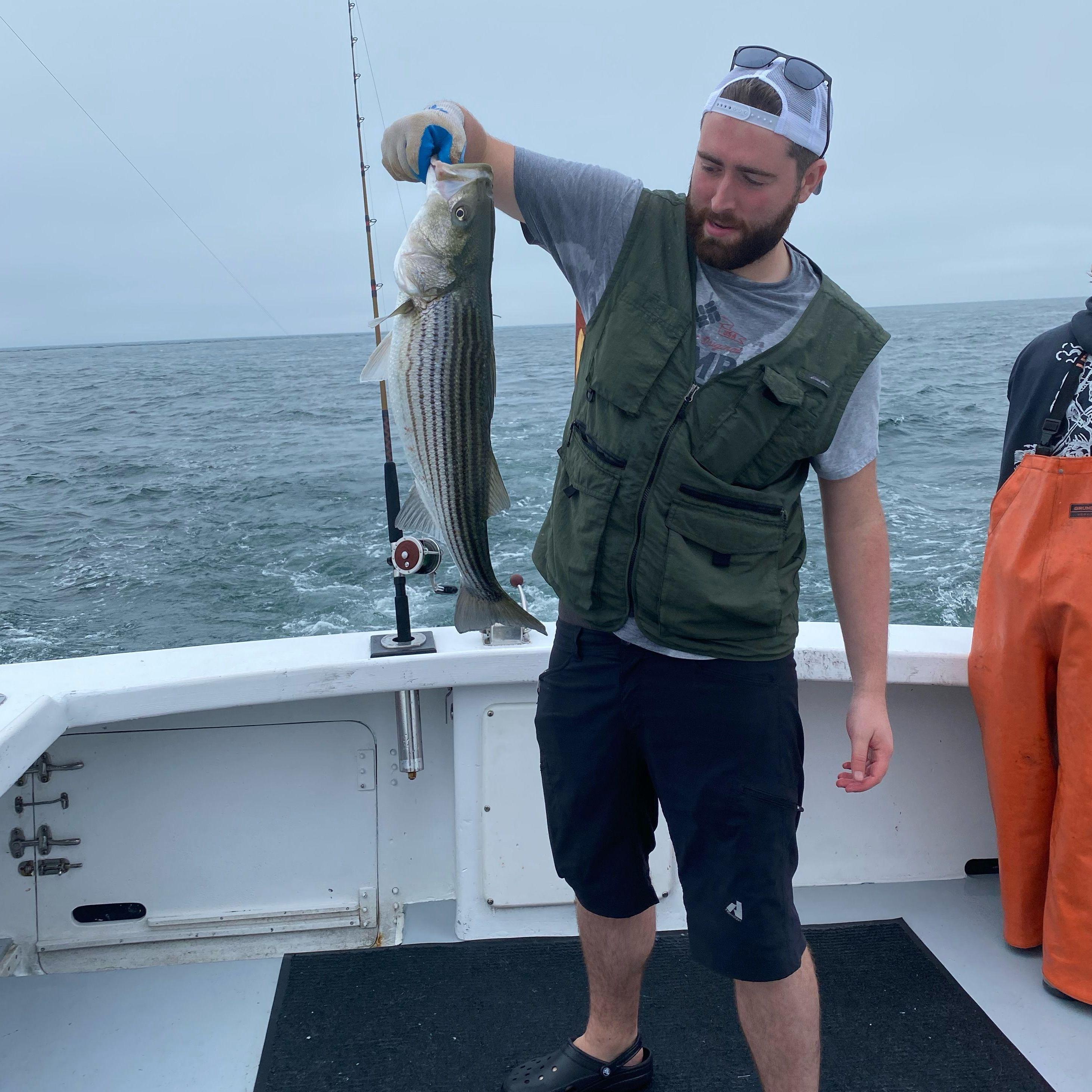 Sea Bass off the coast of Cape Cod (2021)