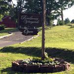 Rosabianca Winery