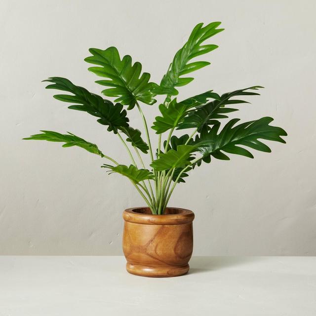 17" Faux Philodendron Potted Plant - Hearth & Hand™ with Magnolia